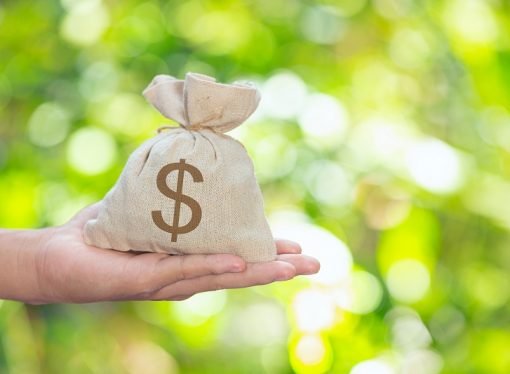 Impuestos para mitigar cambio climático