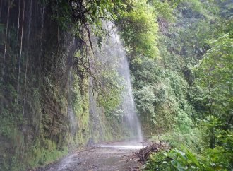 CRÓNICA DE GARDEAZÁBAL, LA VAN A DEJAR MORIR