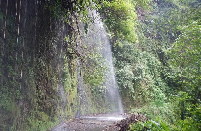 CRÓNICA DE GARDEAZÁBAL, LA VAN A DEJAR MORIR