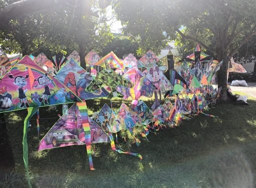 ¿EN QUÉ MES DEL AÑO SE DEBEN ELEVAR COMETAS? EN YOPAL Y CASANARE.