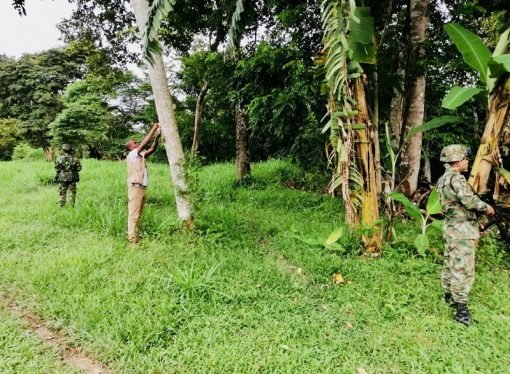 Adulto mayor será compensado por predio abandonado