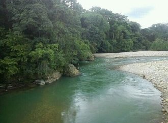 Ordenamiento y reglamentación de uso del agua de la quebrada La Colorada