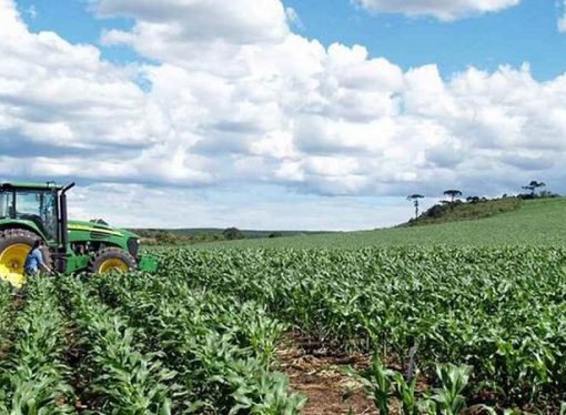ELIMINARÍAN PARAFISCALES AGROPECUARIOS EN ZONA FRANCA
