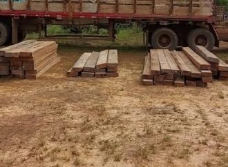 Tala indiscriminada de madera en Labranzagrande, ¿y Corporinoquia qué?