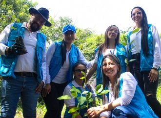 CIDEA Yopal recibió 2 mil plántulas nativas