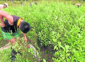 CRÓNICA DE GARDEAZÁBAL, SIN PETRÓLEO Y SIN COCA