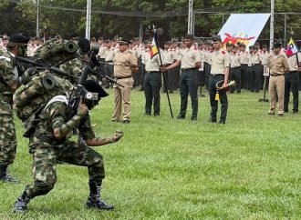 ¿SE DEBE DESMONTAR EL SERVICIO MILITAR?