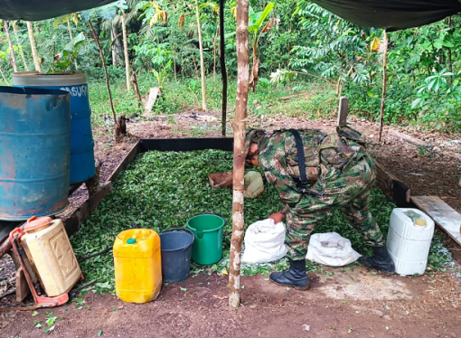 Destruidos laboratorios de coca en Vichada