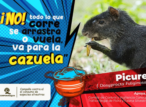 “No Todo lo que Corre, se Arrastra o Vuela Va Para la Cazuela”