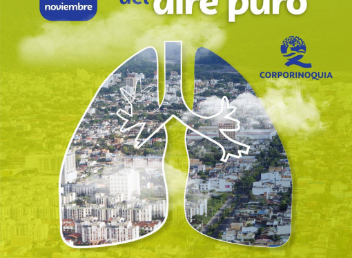 Respira profundo y empieza a realizar acciones que eviten la contaminación del aire
