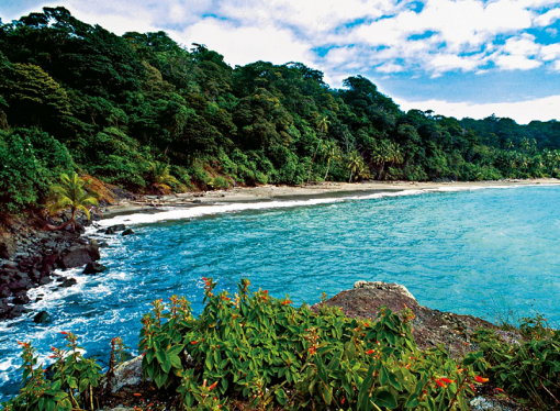 CRÓNICA DE GARDEAZÁBAL, TODOS POR GORGONA