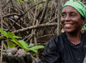 Piangueras del Chocó le siguen apostando a la sostenibilidad medioambiental