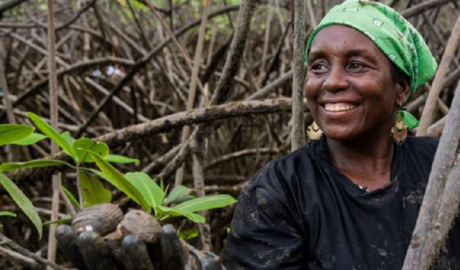 Piangueras del Chocó le siguen apostando a la sostenibilidad medioambiental