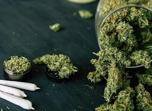 ¿SE PUEDE CONSTITUCIONALIZAR EL CONSUMO DE MARIHUANA?
