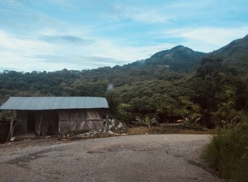 Sentencia ordena compensar a pareja de adultos mayores en el Meta