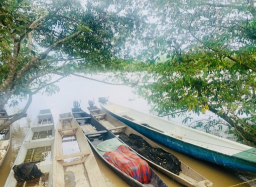 Sobreviviente de Masacre en Mapiripán será compensado