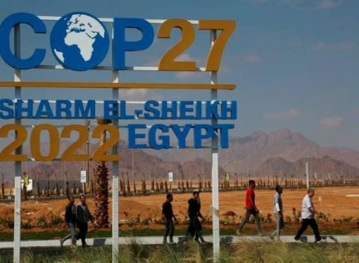 COP 27: decepción en las expectativas y acuerdos in extremis