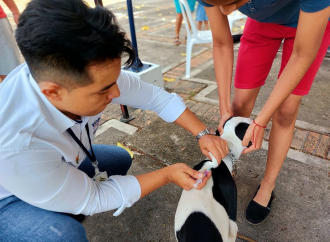 Cerca de 100 mascotas fueron vacunadas