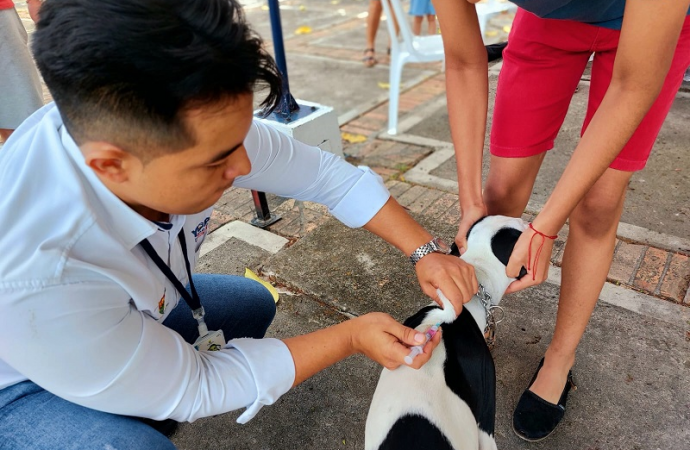 Cerca de 100 mascotas fueron vacunadas