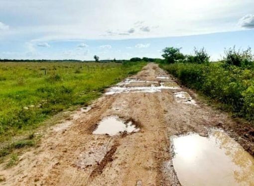 Habrá intervención a vías terciarias