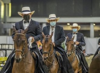 Feria nacional equina en Corferias