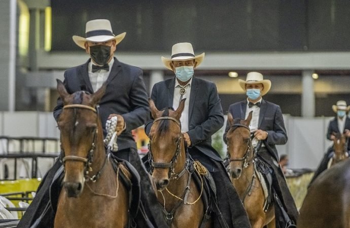 Feria nacional equina en Corferias