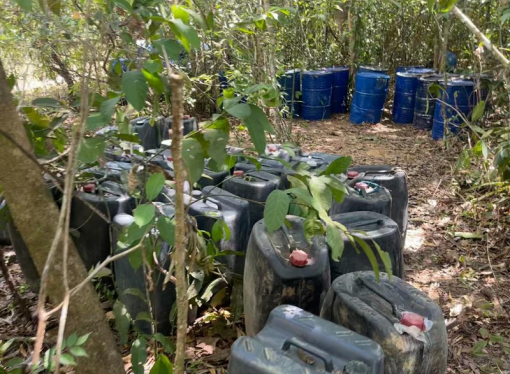 Destruido depósito ilegal para producir coca en Casanare