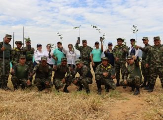 Siembra de árboles para la paz y convivencia