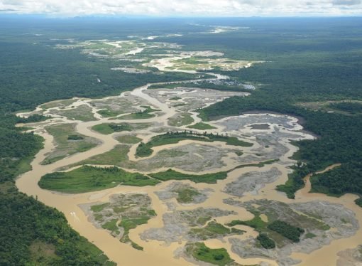 SANCOCHO VENENOSO, Crónica de Gardeazábal
