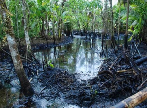 Siguen ataques a infraestructura petrolera en Arauca