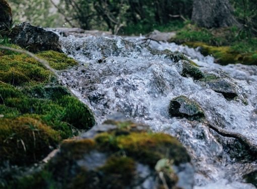 Qué produce mayor consumo de agua y contaminación en el planeta