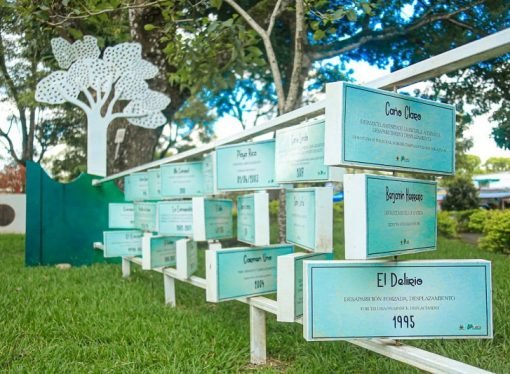 Mujer víctima de la violencia recibirá compensación por predio destruido