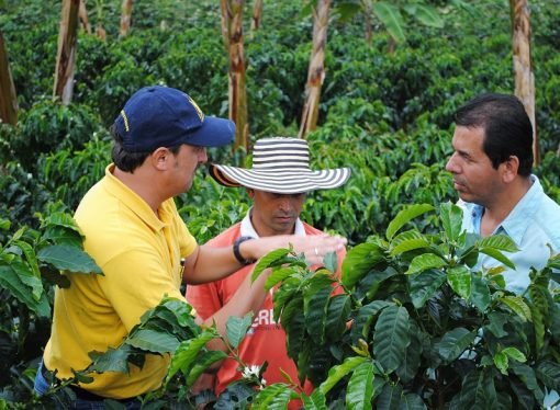 EL URIBISMO VA POR FEDECAFÉ, Crónica de Gardeazábal