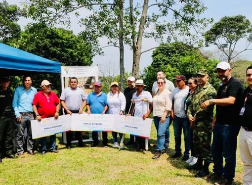 Proyectos de ganadería bovina y un cultivo de café en tierras restituidas