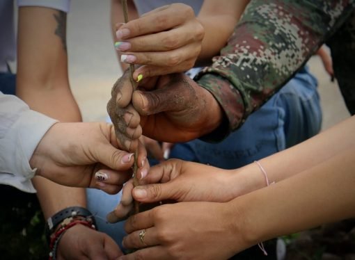 Ejército Nacional siembra por la tierra, siembra por la vida en Casanare