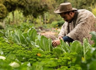 Reconocimiento para los campesinos