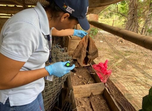 El Chagas un reto que todos debemos asumir