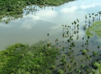 Protección, conservación y recuperación de las cuencas y microcuencas hidrográficas, tarea prioritaria.