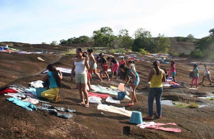 Partido Ecologista Colombiano pide al Gobierno Nacional retomar cese bilateral con todos los grupos armados