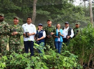 Corporinoquia se Suma a la Jornada “Colombia Siembra Vida: Unidos por el País”