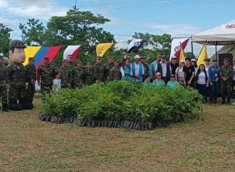 Día del árbol: En la Orinoquia colombiana se sembraron más de 10.000 especies nativas