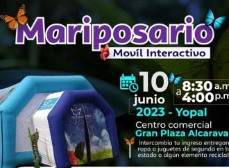 Mariposario móvil en Casanare