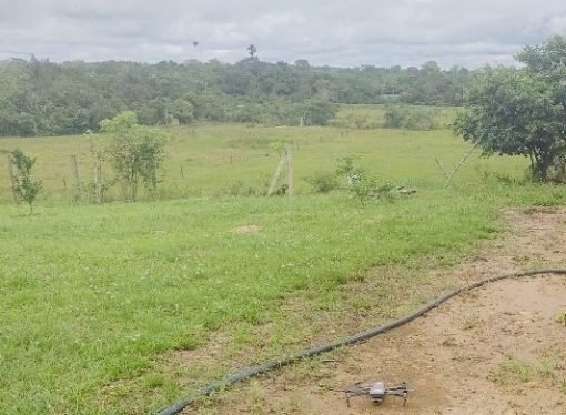 Más de 4 mil hectáreas han sido restituidas en el Meta en el primer año de Gobierno Petro