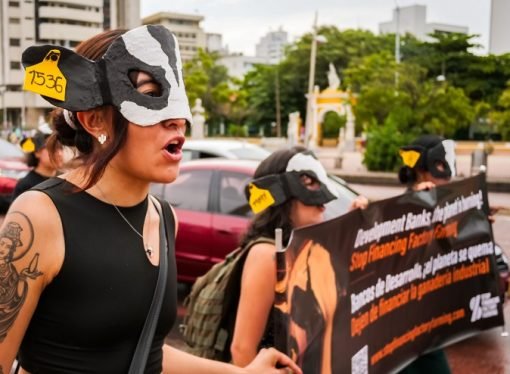 Activistas en contra de la ganadería