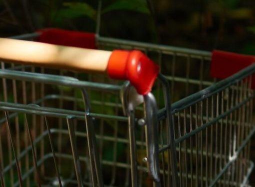 La Psicología del Consumo Responsable