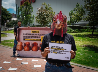 En protesta pacífica piden dejar de vender huevos de gallinas en jaulas de batería