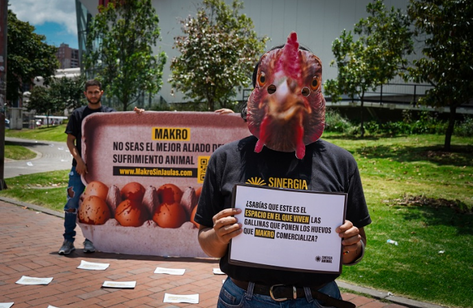 En protesta pacífica piden dejar de vender huevos de gallinas en jaulas de batería