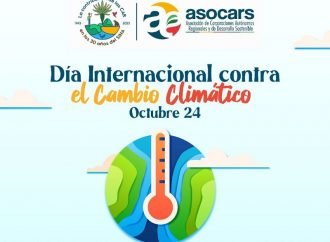 Día Internacional Contra el Cambio Climático