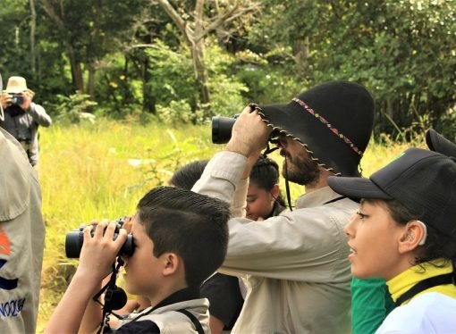 ¡Explorando el fascinante mundo de las aves!