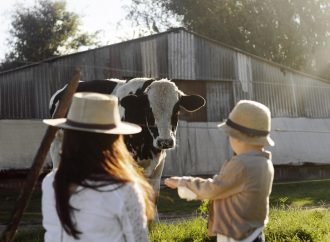 Día Internacional del Veganismo: Un compromiso con los animales